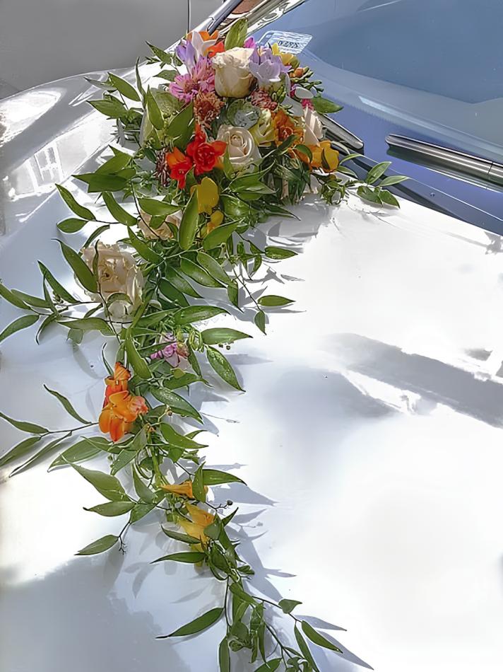 20ecfb177963db5dccaee3bd903293f9578772f6-v1