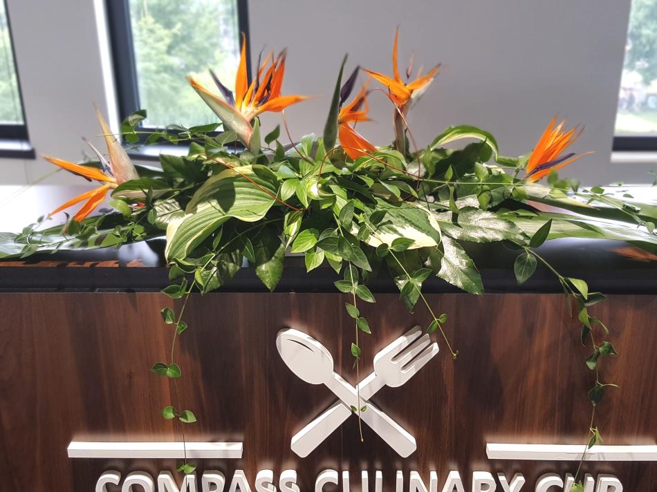 e1510fc35cace523fd7948ee2292d81dbdc1f305-v1