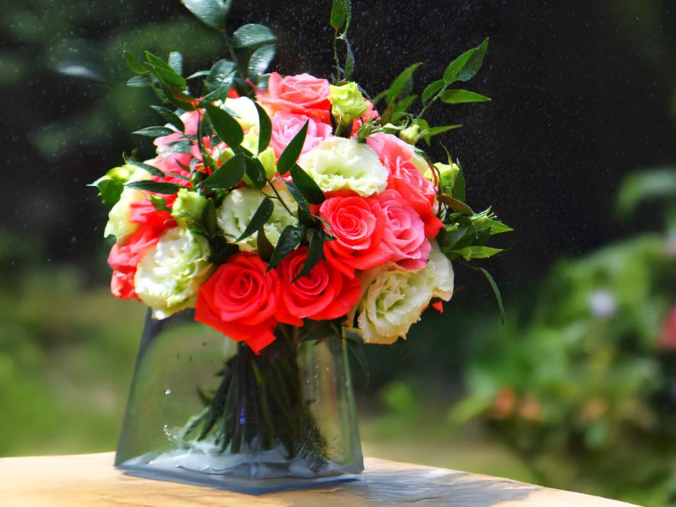 dae6cae03bd20c21ccb9a086b1713eced69829c4-v1