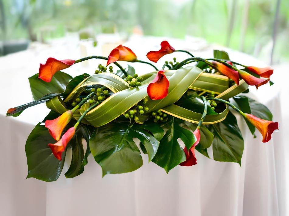 b72717e2336d50eddeca0997c3d60c47d4201b63-v1