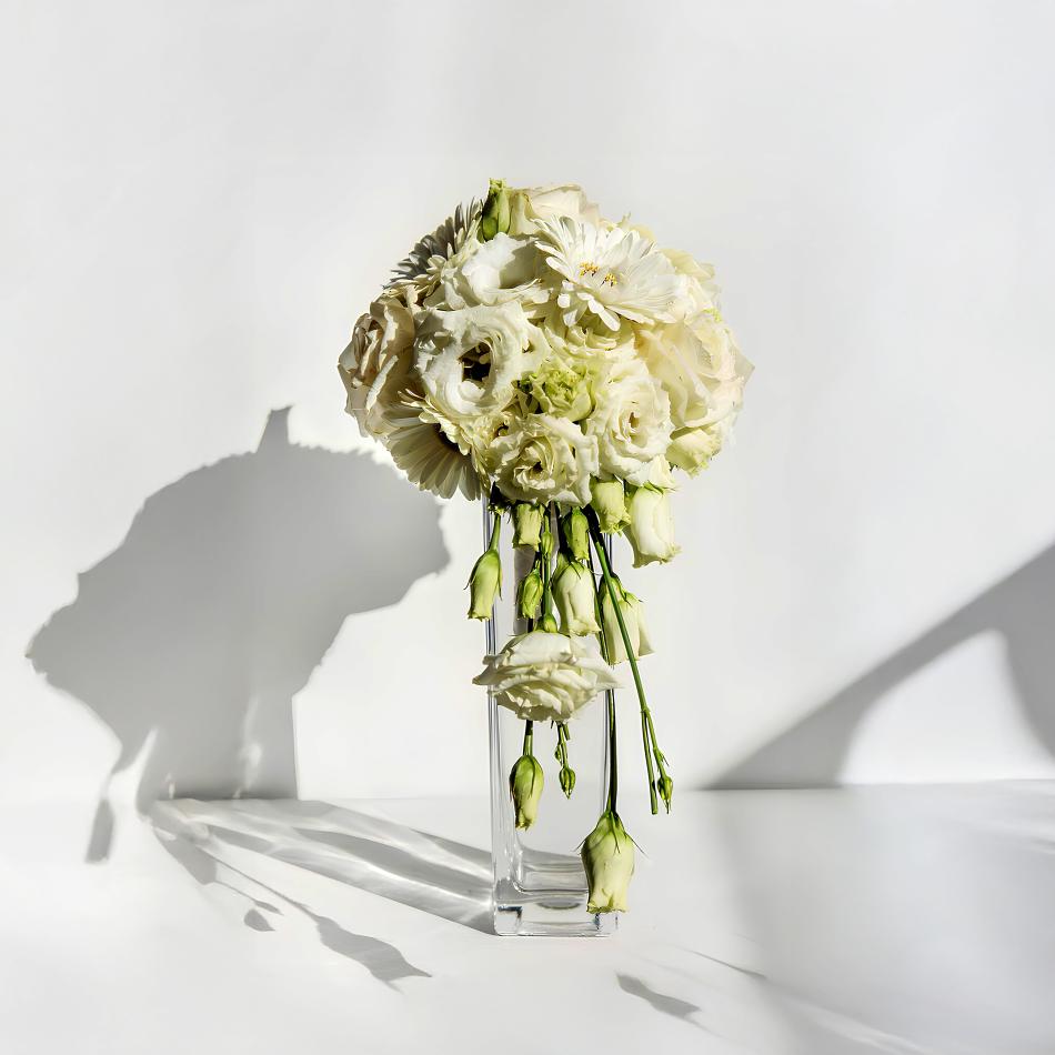 01K2J2G3P8JNR8Q99ACVPEH82P-v1