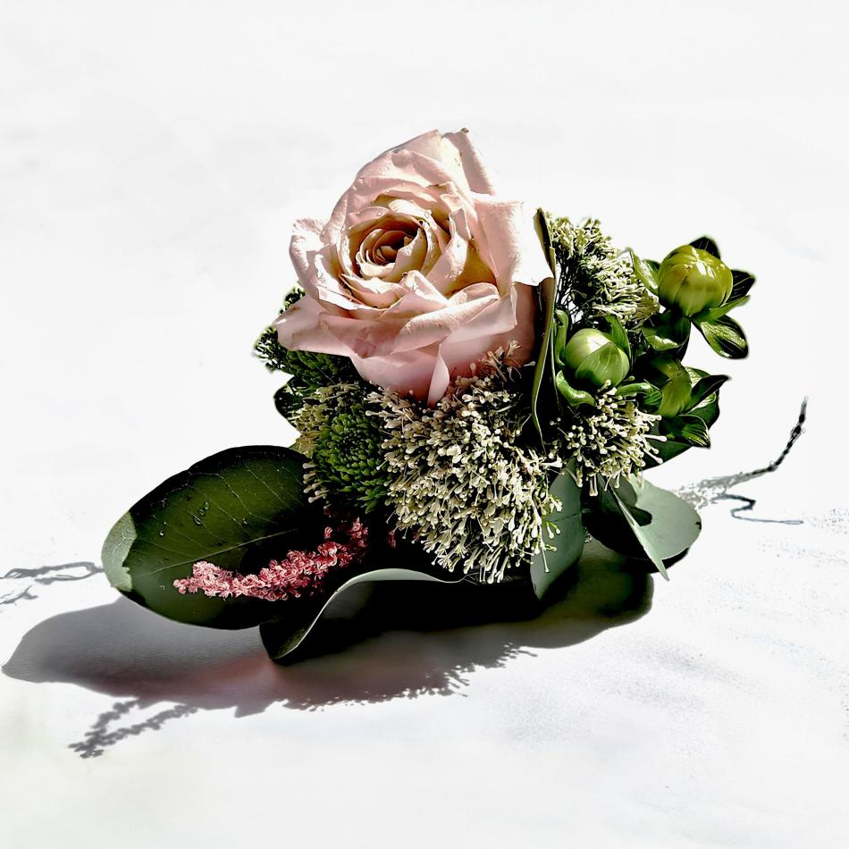 69426024_755889564842923_5700891305240952832_n_1-v1