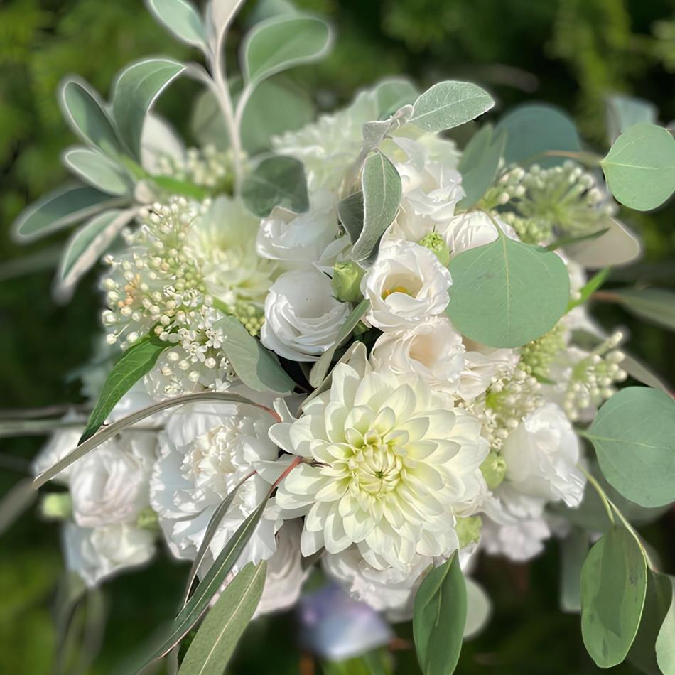 471771245_1115873376995261_7885075878736645446_n_1-1-v1