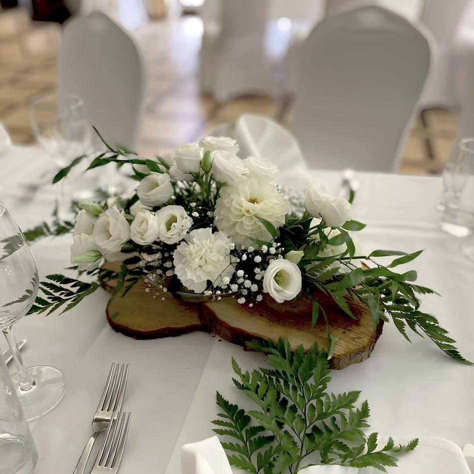 471970470_1115873366995262_1886683621915544880_n_1-3-v1