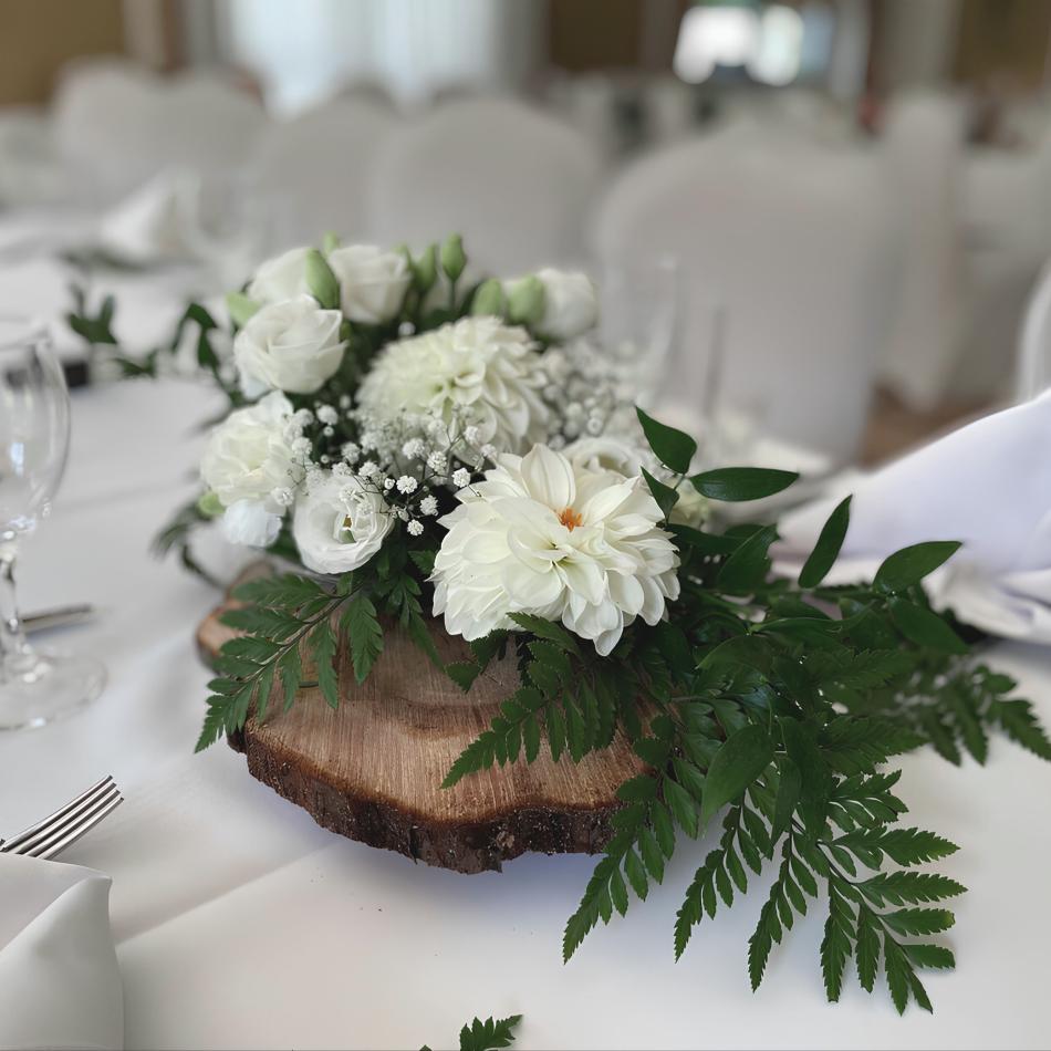 470539770_1115873350328597_7252126027049251249_n_1-1-v1