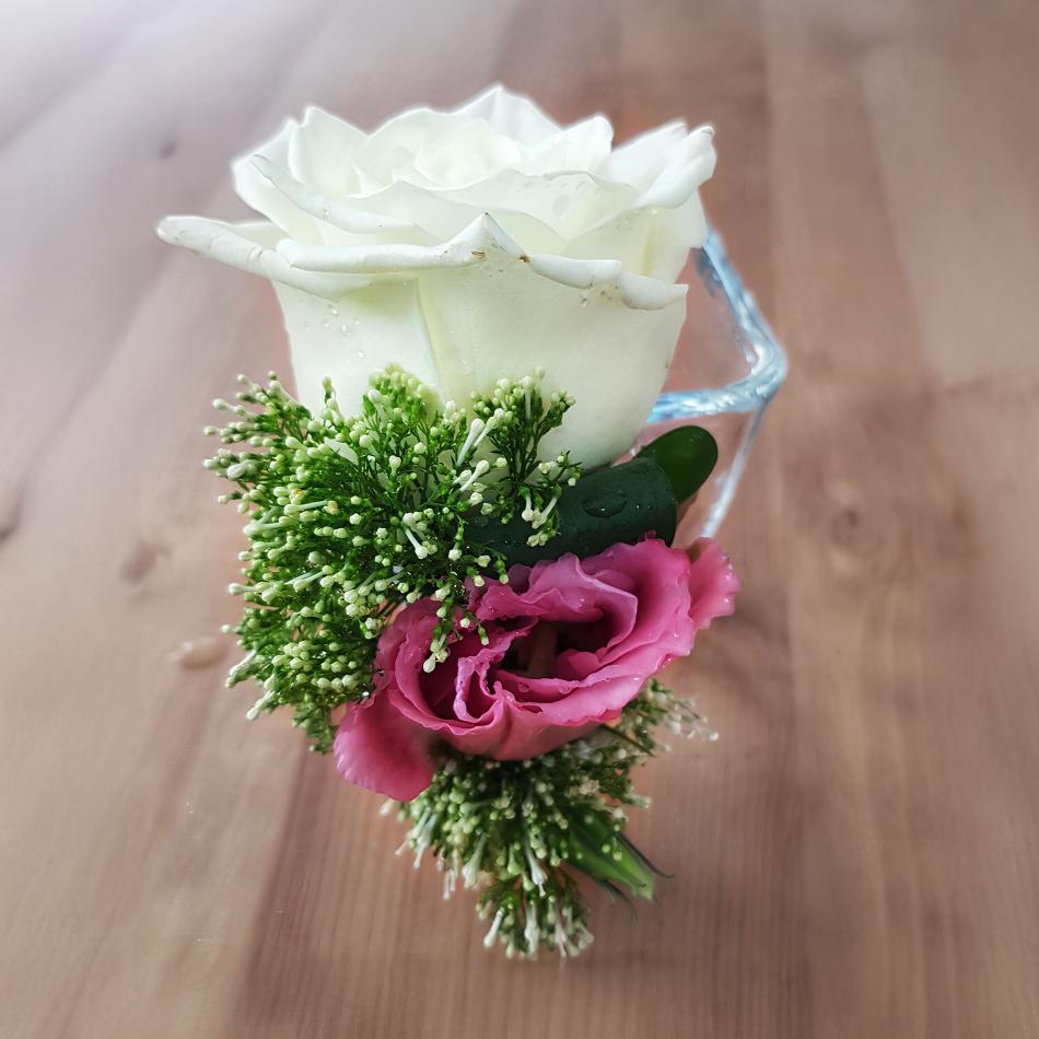 64341049_707147276383819_1926450620764520448_n_1 1-v1