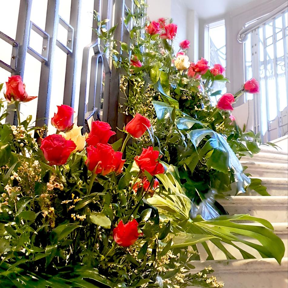 84878228_880776005687611_4939542428571926528_n_1-v1