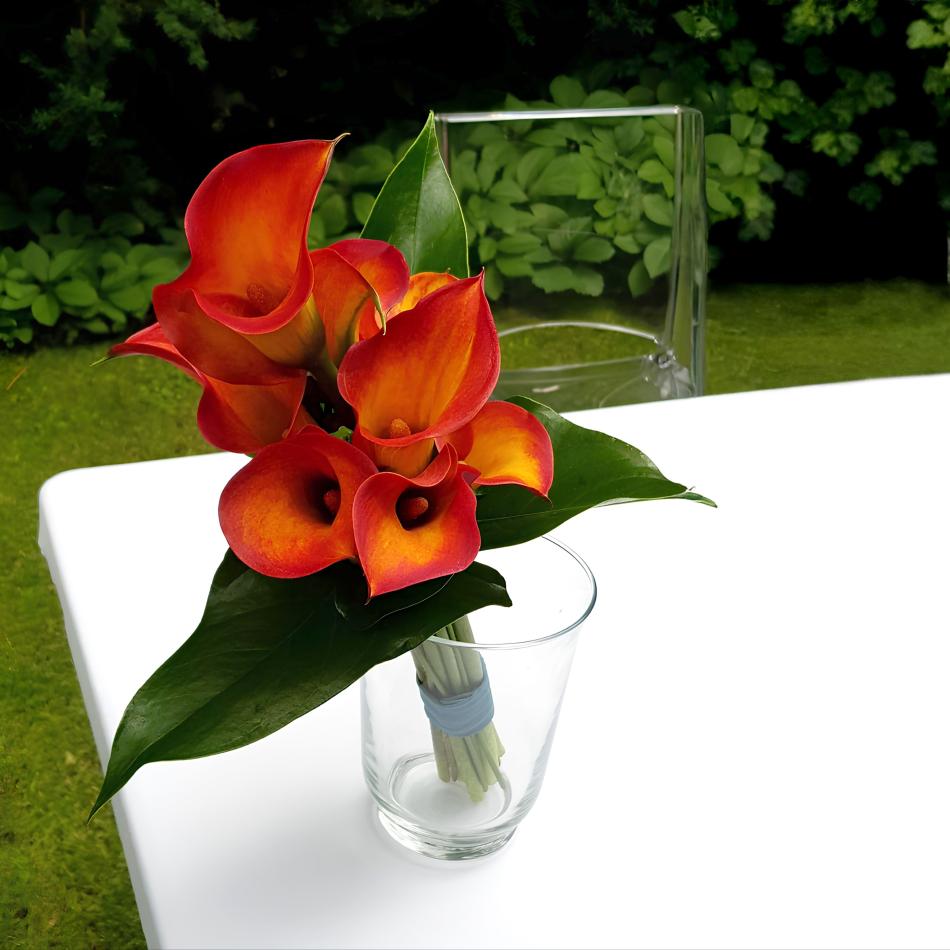 116132764_1000084497090094_5279126467164231145_n_1-2-v1