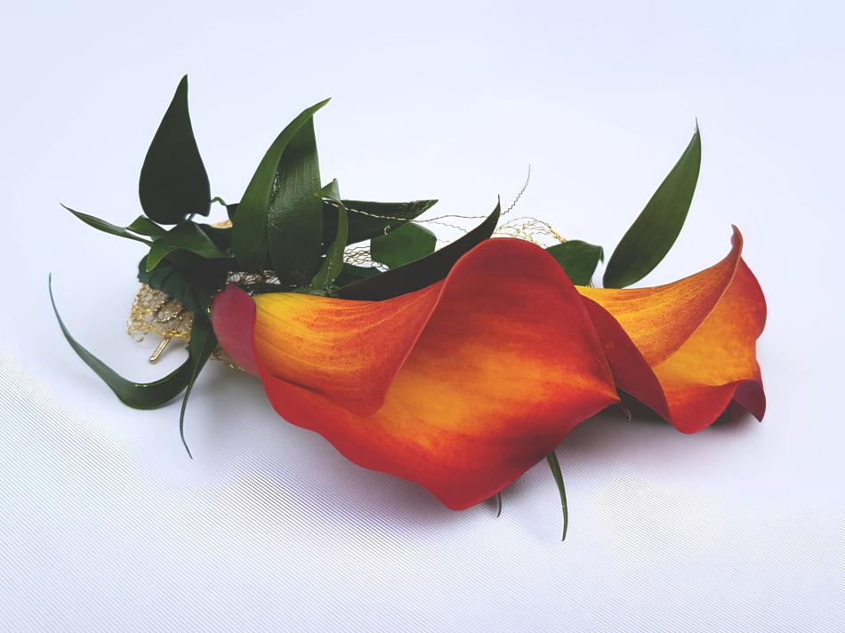 113680555_1000084563756754_5185428297995994416_n_1-2-v1