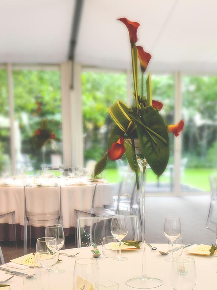 109765149_1000084770423400_6718346674325277350_n_1-v1