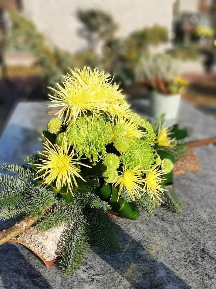 120544429_1052009458564264_6740284985035833051_n-v1