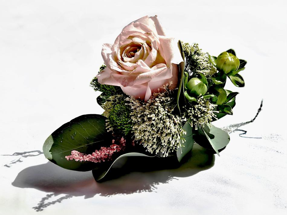 69426024_755889564842923_5700891305240952832_n_1-v1