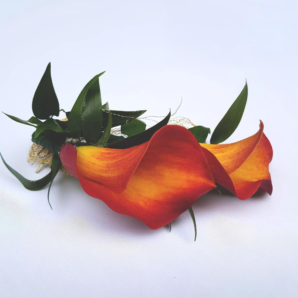 113680555_1000084563756754_5185428297995994416_n_1-v1