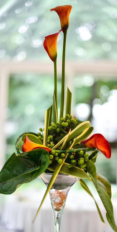 110785760_1000084640423413_6205117473967048248_n_1 2-v1