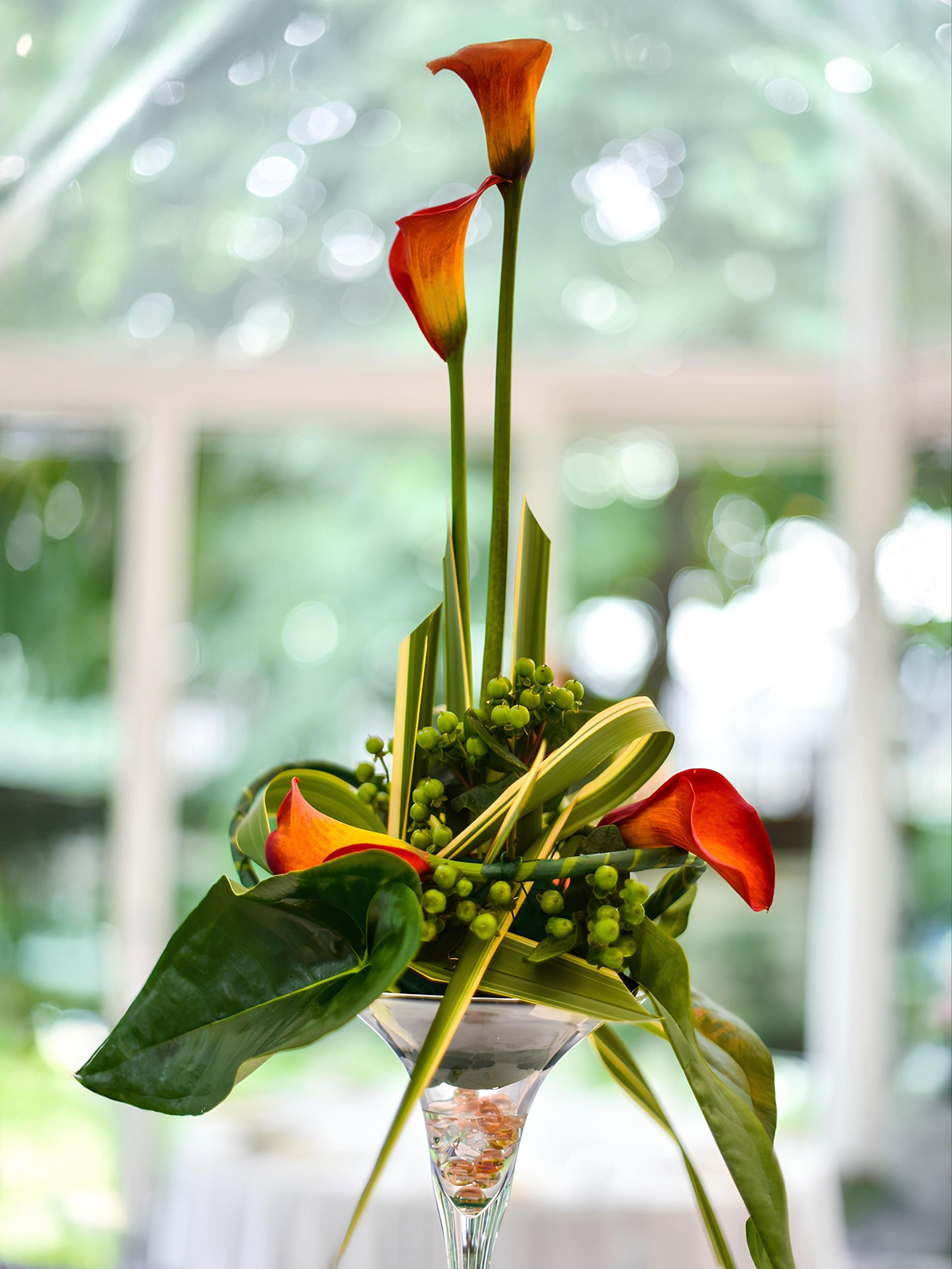 110785760_1000084640423413_6205117473967048248_n_1 2-v1