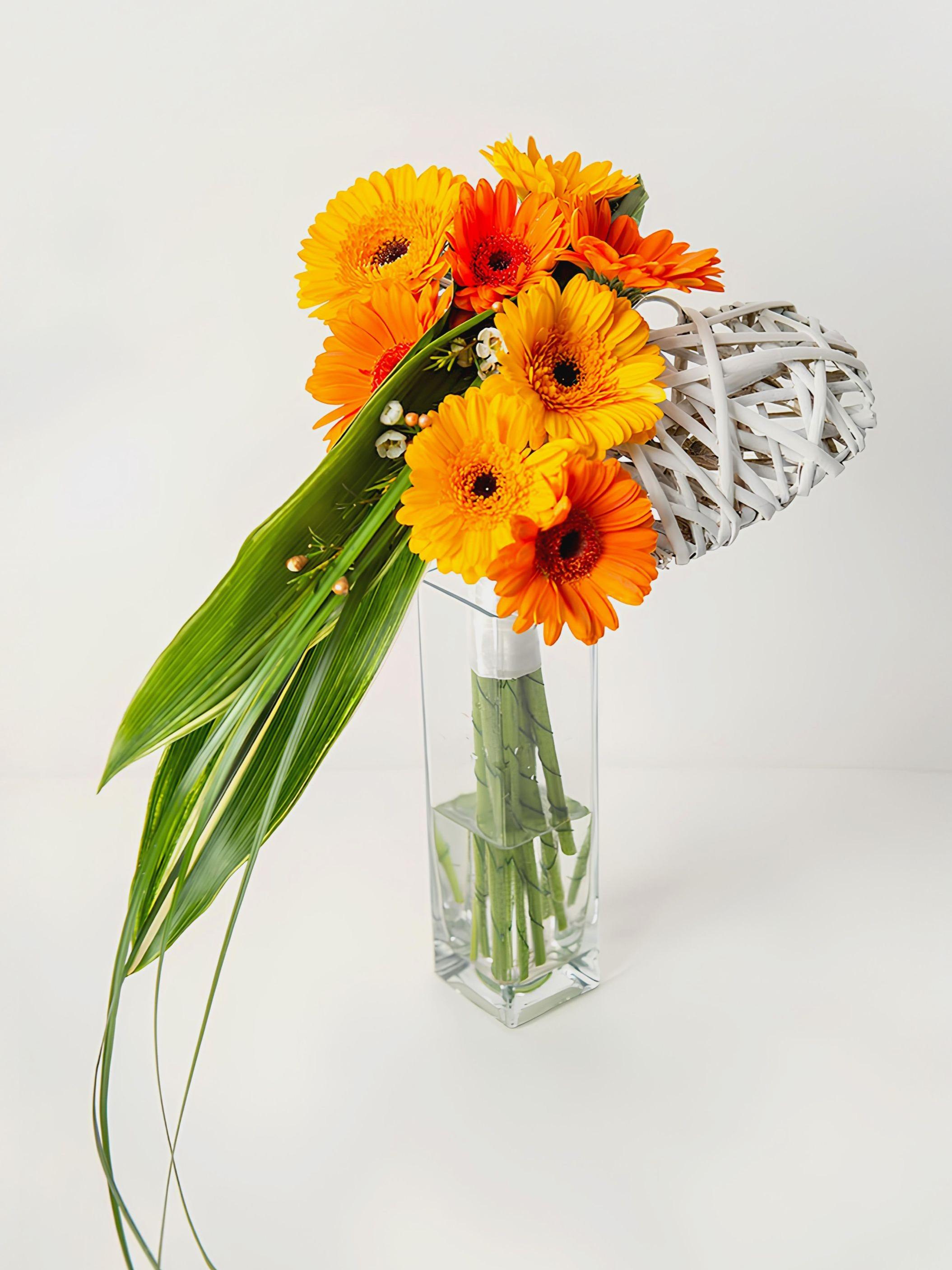 59407347_680172242414656_73627670872588288_n_1 1-v1