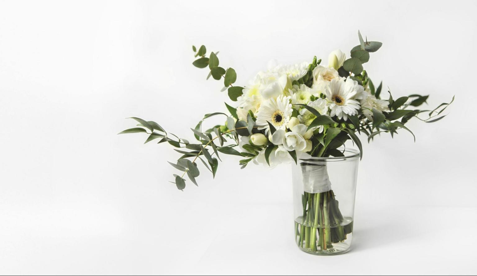 01K30E6M5S18STR7AWRTFPDC0J-v1