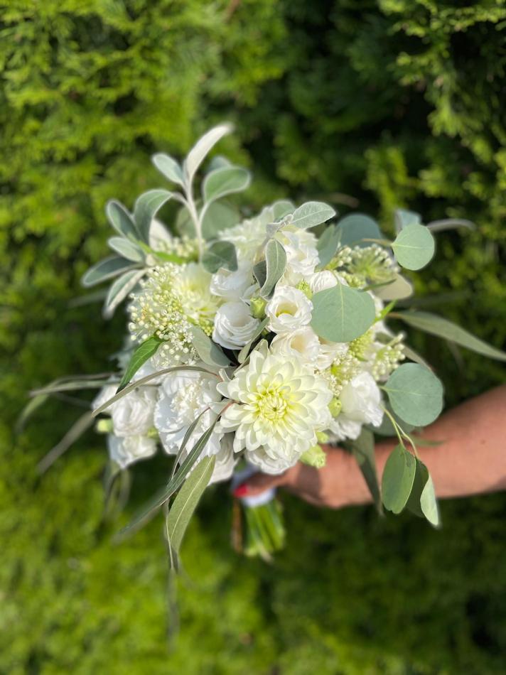 29353917-206e-4318-9857-7e71af685f65