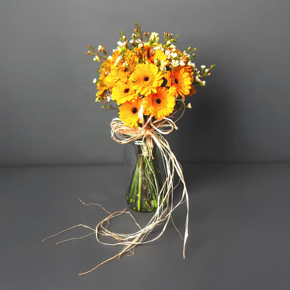 e6acec3dfc32ceb9fce24a8d62fc96ae4b3b988a-v1